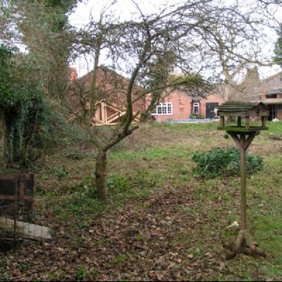 The garden after a day of toil 240109 (3)